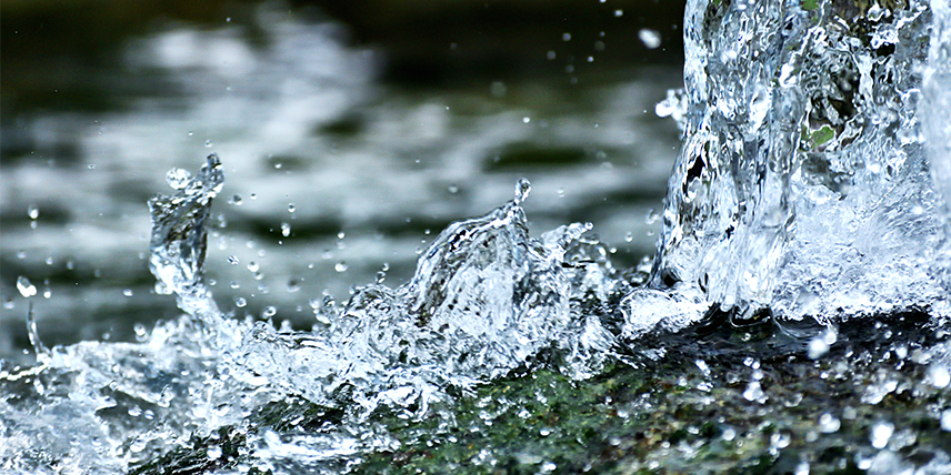 Wasser